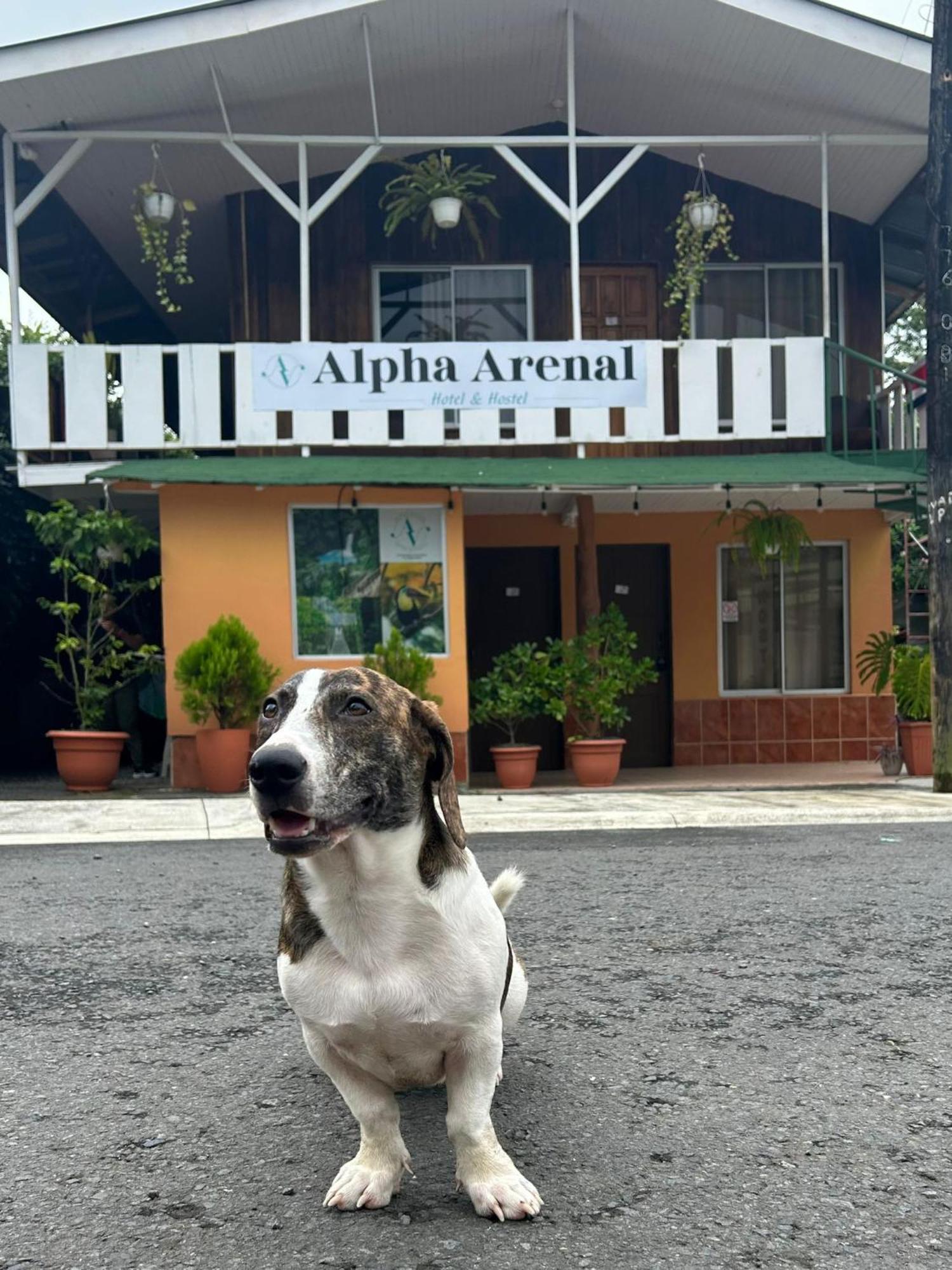 Alpha Arenal Hostel La Fortuna Exterior photo